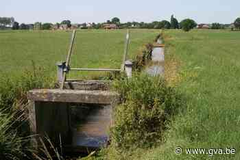 Boterdijk wordt geen sociale woonwijk (Wuustwezel) - Gazet van Antwerpen Mobile - Gazet van Antwerpen