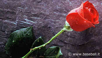 E' morta la mamma del Presidente FIBS Marcon » Baseball.it - Baseball.it