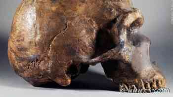 Neanderthals could hear and make the same sounds as humans, new research suggests