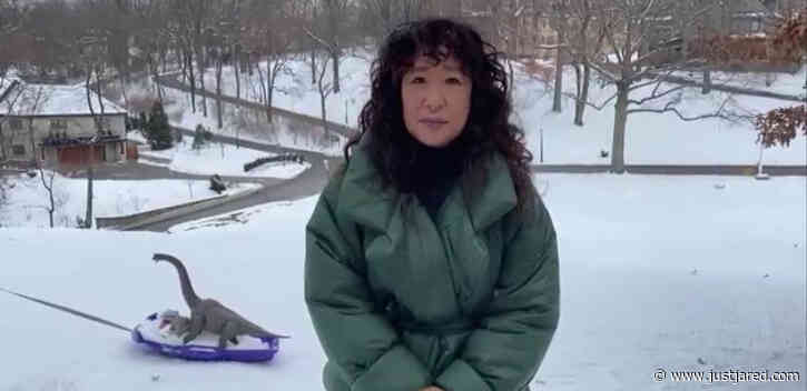 Sandra Oh is Photobombed by Dinosaur Toys While Presenting at Golden Globes 2021!