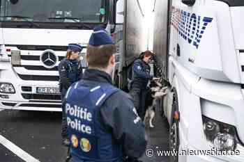 Acht transmigranten gered uit container in Zeebrugge