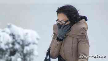 Toronto under extreme cold weather alert Monday, high winds expected