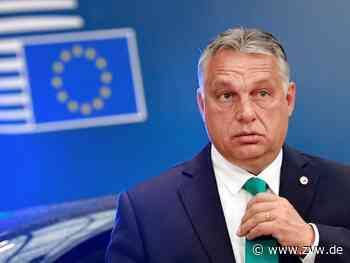 Orban droht mit Austritt der Fidesz-Gruppe aus EVP-Fraktion - Ausland - Zeitungsverlag Waiblingen - Zeitungsverlag Waiblingen