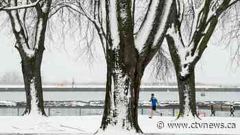 Mild spring with some wintry blasts predicted for most of Canada: Weather Network