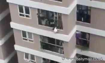 Girl, two, survives fall from 12th storey balcony in Vietnam after hero delivery driver CATCHES her