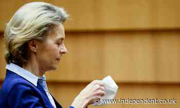 EU split over plan for Covid vaccine passports