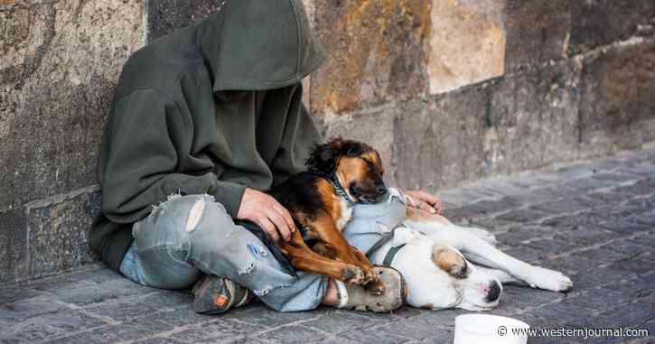 Homeless Pet Owners Offered New Solution for Their Furry Friends