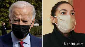 Biden officials urge patience on immigration amid border surge