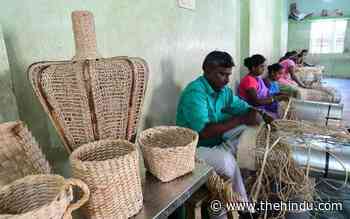 School dropout turns into a trailblazing entrepreneur - The Hindu