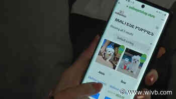 Amid the pandemic, be wary of consumer scams