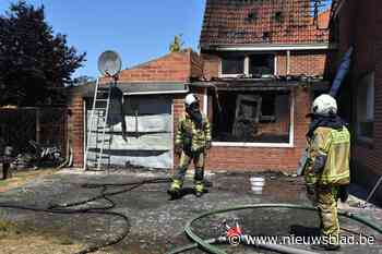 Het brandde vorig jaar 336 keer in de zone Meetjesland, maar brandweer jaagt toch vooral op… wespen