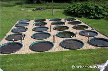 Global Warming Poses Threat to Food Chains – “Impact Could Be Severe”