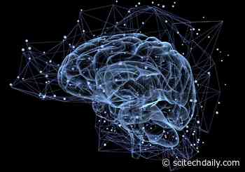 MeshCODE: Revolutionary New Theory for How Memories Are Stored in the Brain