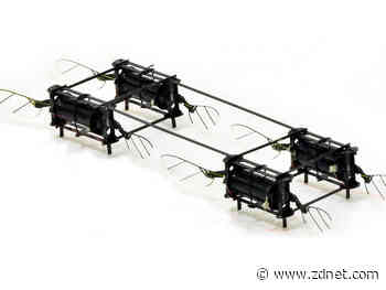 MIT's tiny insect drone looks like a cassette tape with wings but can bounce back from mid-air collisions