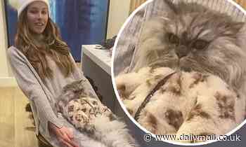 Kate Beckinsale plays role of human bed as her cat lays back on her lap in a Louis Vuitton jacket - Daily Mail