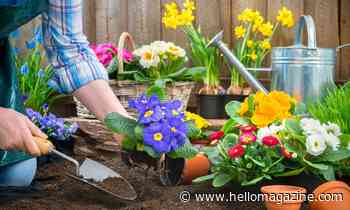5 simple jobs to get your garden ready for spring