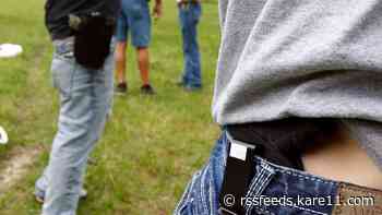 Record number of Minnesota gun permits issued in 2020