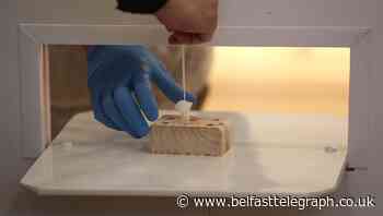 Lowest number of daily coronavirus infections in Ireland since mid-December