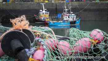 Brexit red tape likely to see demise of small fishing businesses, MPs told