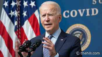 Biden tells Senate Dems to stick together, quickly pass coronavirus relief