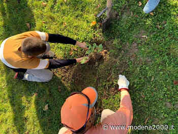 Modena entra a far parte della rete delle “Città degli alberi” - Modena 2000