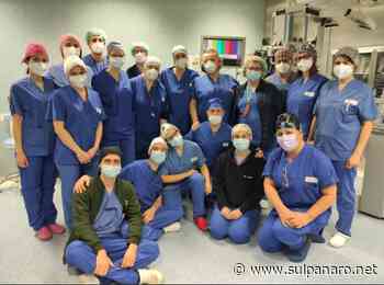 Gastroenterologia ed Endoscopia Modena: “Così abbiamo trasformato il Covid in opportunità” - SulPanaro