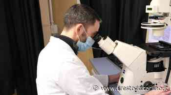 Sperimentazione dei farmaci: il Policlinico di Modena al top - il Resto del Carlino