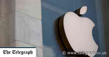 MPs spent nearly £40,000 of taxpayers' money on Apple gadgets after working from home uplift in expenses - Telegraph.co.uk