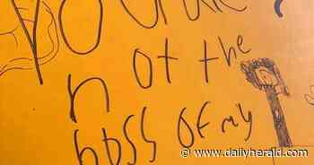 Side Street Studio Arts celebrates 8th anniversary with 'You Are Not the Boss of My Art' - Chicago Daily Herald