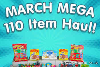 Mums are going wild for mega haul boxes that deliver 110 food items for just £30 - The Sun