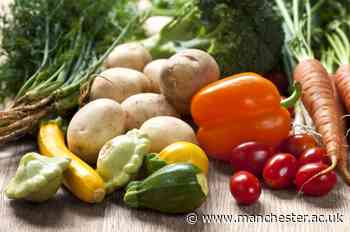 How are universities planning to tackle emissions associated with food and flying? - The University of Manchester