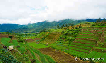 Integrated Approach is Needed for Food System Change, Says New Report – Food Tank - Food Tank