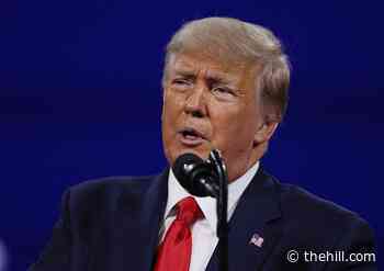 House Oversight panel reissues subpoena for Trump's accounting firm