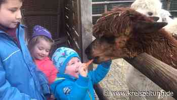 Tiergestützte Pädagogik in Sulingen: Esel bauen Brücken zu Kindern und Teens - kreiszeitung.de
