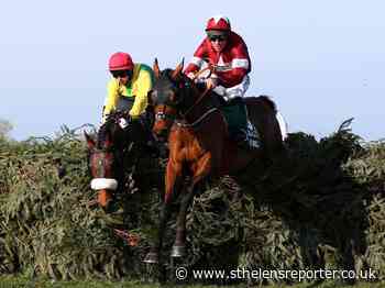 Tiger Roll withdrawn from Grand National - St Helens Reporter