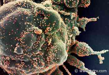 First case of coronavirus 'Brazil strain' identified in Oregon - KDRV