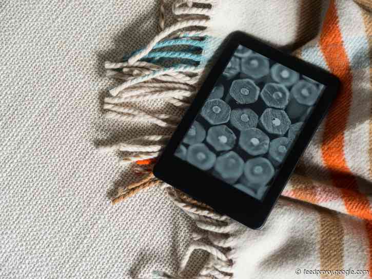 I've tested Amazon's entry-level Kindle for a year, and it's the best e-reader for less than $100