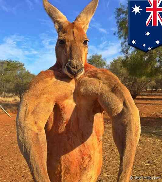 Australia – pulling away from its macho past