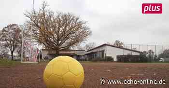 Neuer Kunstrasenplatz für die SV 07 Bischofsheim - Echo Online