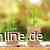 Anlegerverlag: Heute bei NORMA einsteigen?