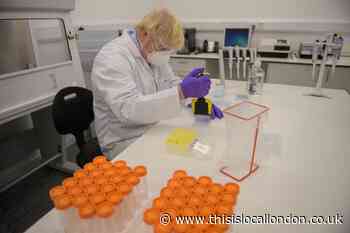 What we know about the 4 different Covid variants in the UK