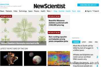 Daily Mail owner snaps up New Scientist for £70m - Dudley News