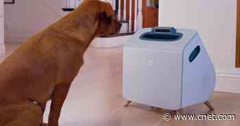See the automatic dog trainer coming this summer video     - CNET