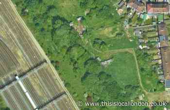 Community against Willow Tree Wetlands development Grove Park