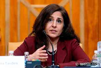White House not ready to name Tanden replacement