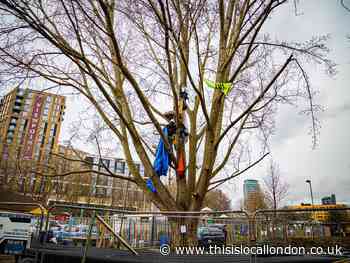 Protesters hope for breakthrough in York Garden protests