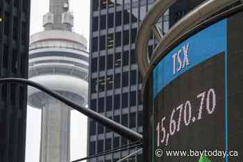 Investor frenzy accelerates Canada stock market activity in February, says TMX