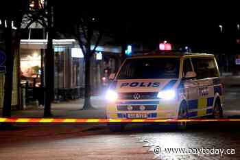 Man injures 8 with axe in Sweden before being shot, arrested
