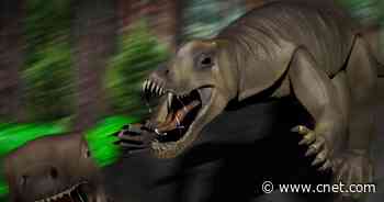 Scientists discover 'prehistoric killing machine' was a speed demon     - CNET