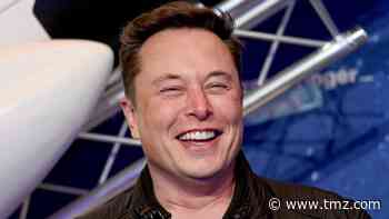 Elon Musk Hit Up Texas Officials About Founding Starbase City